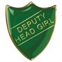 BDG-DG-N - GREEN-School-Badges thumbnail